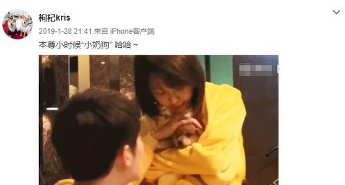 张恒爆料狗狗视频,背后真相令人震惊 第1张 张恒爆料狗狗视频,背后真相令人震惊 第1张