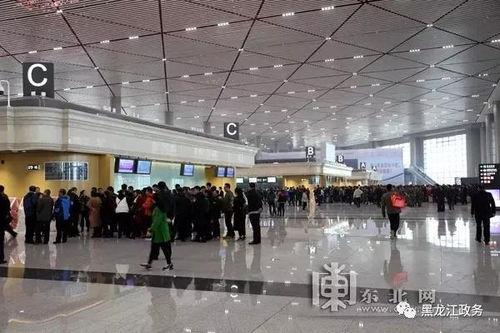 哈尔滨机场最新爆料,揭秘神秘扩建计划与未来展望 第1张 哈尔滨机场最新爆料,揭秘神秘扩建计划与未来展望 第1张