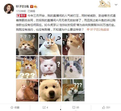 兔子爆料的视频,幕后真相大曝光 第1张 兔子爆料的视频,幕后真相大曝光 第1张