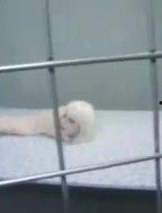 娱乐爆料搞笑版,明星们的爆笑瞬间大揭秘！