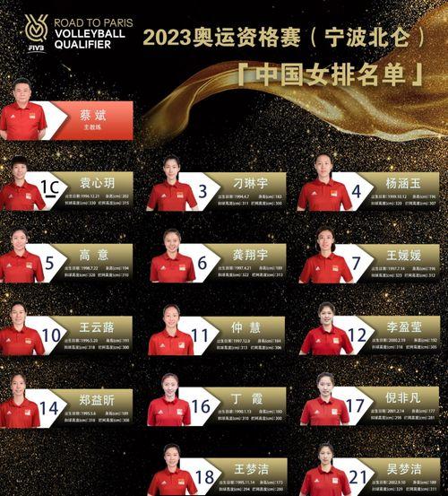 大连奥林爆料最新消息,揭秘项目进展与幕后故事  第3张